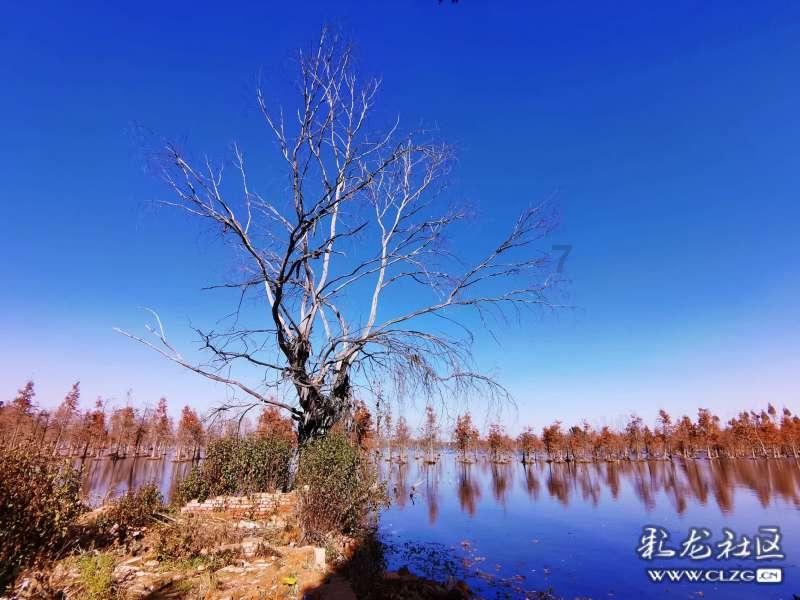 探索臭豆腐的家常做法，共享与学习的知识星球平台