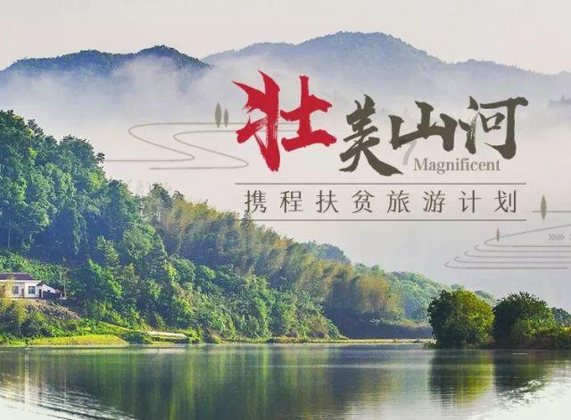 解密汽车英语如何?,发现知识星球平台的魅力